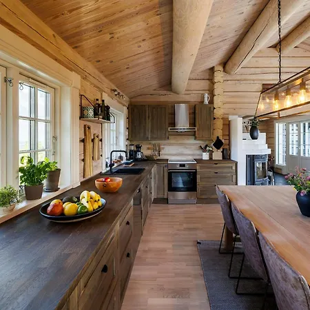 Cozy And Spacious Family In Valdres *