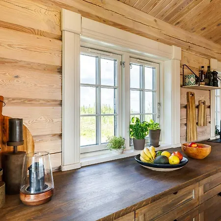 Cozy And Spacious Family In Valdres Bagn