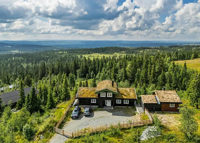 Cozy And Spacious Family In Valdres *