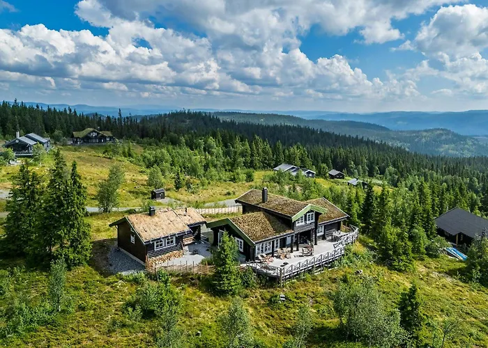 Cozy And Spacious Family In Valdres Bagn